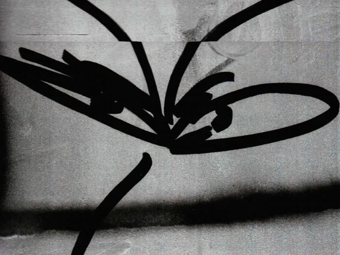 student took a picture of graffiti and street are while in Japan